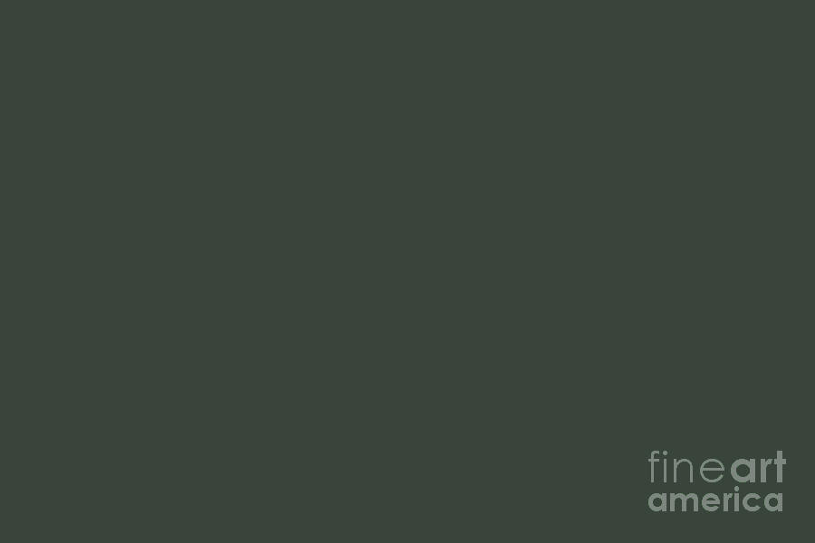 Dark Gray Green Solid Color Pantone Deep Forest 19-6110 TCX Shades of ...