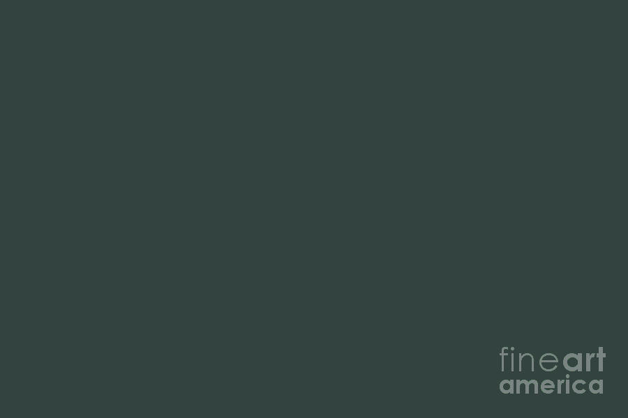 Dark Gray Green Solid Color Pantone Green Gables 19-4906 TCX Shades of ...