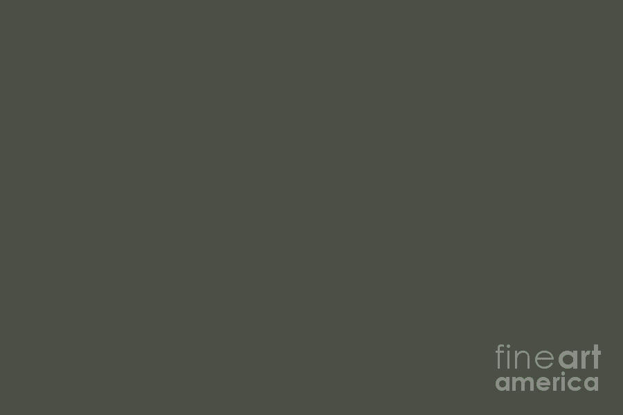 dark-gray-green-solid-color-pantone-kambaba-19-0404-tcx-shades-of-black