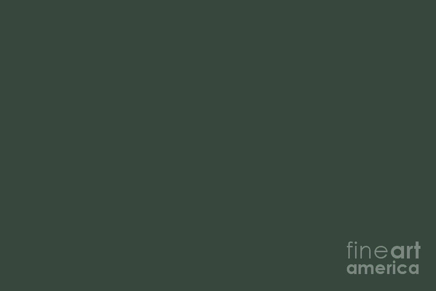 Dark Gray Green Solid Color Pantone Sycamore 19-5917 TCX Shades of ...