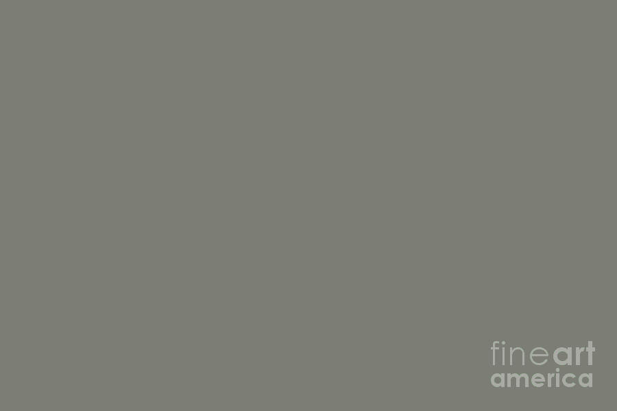 Dark Gray Solid Color Attitude Gray SW 7060 Digital Art by PIPA Fine