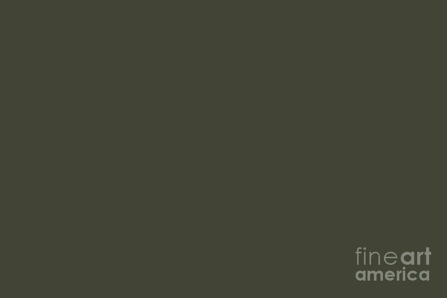 Dark Green-Brown Solid Color Pairs Forest Night 19-0414 TCX LFW Autumn-Winter 2023-2024 Color Trends Digital Art by Simply Solids