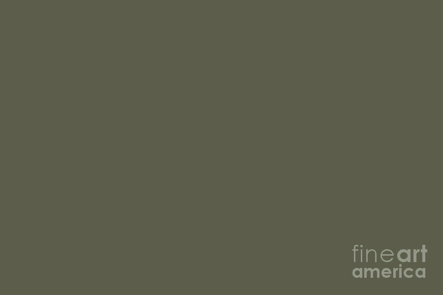 Dark Green Gray Solid Color Pairs PPG Moss Rock PPG10327 All One