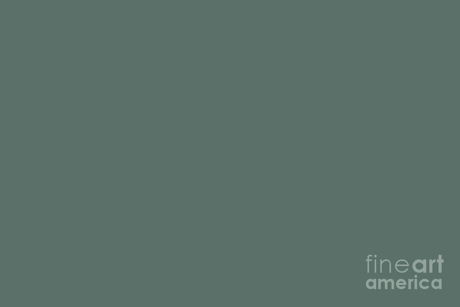 Dark Green Solid Color Behr 2021 Color of the Year Accent Shade Meteorological N430-6 Digital Art by PIPA Fine Art - Simply Solid