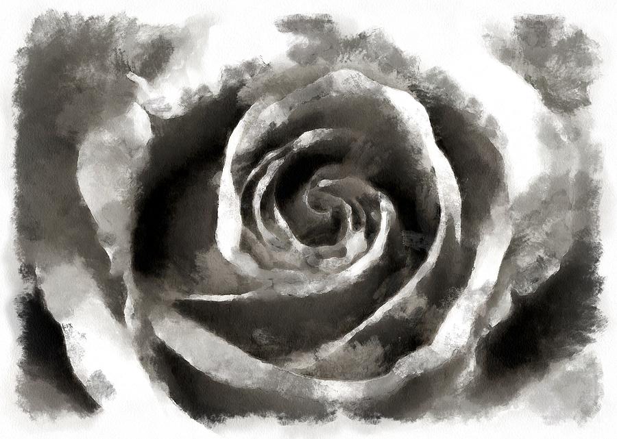 Dark Grey Rose Digital Art
