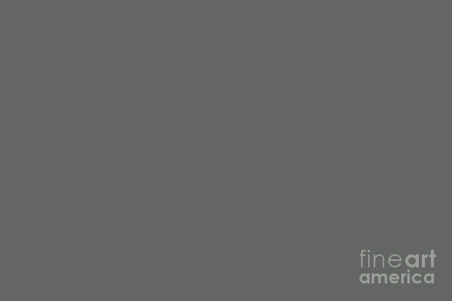 Dark Grey Solid Color Pairs Sherwin Williams Grizzle Gray SW 7068 Digital Art by PIPA Fine Art - Simply Solid