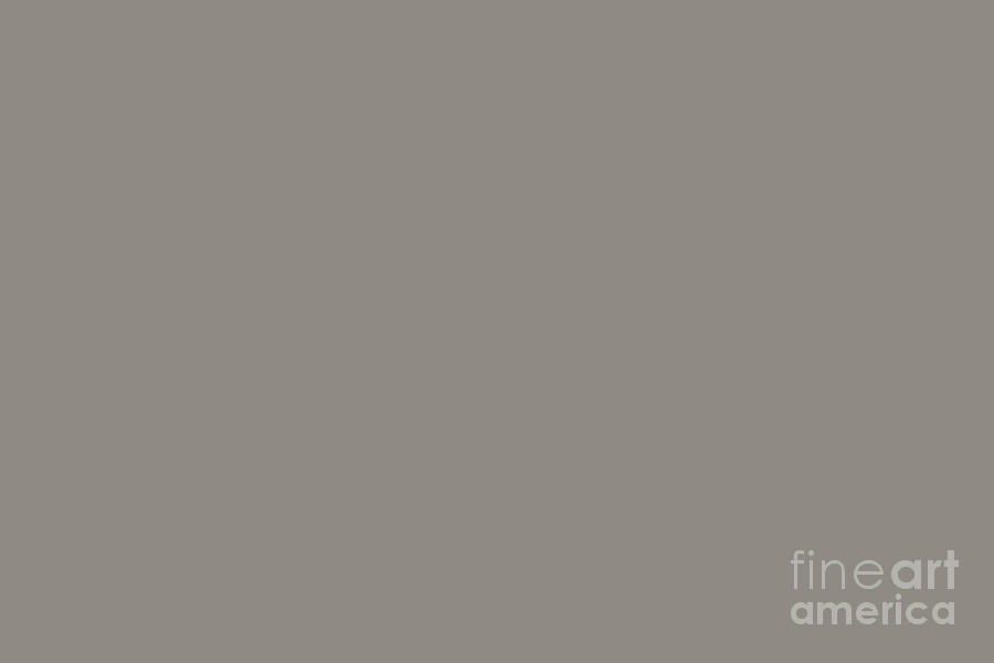 Dark Grey Taupe Solid Color Dovetail SW 7018 by PIPA Fine Art - Simply Solid