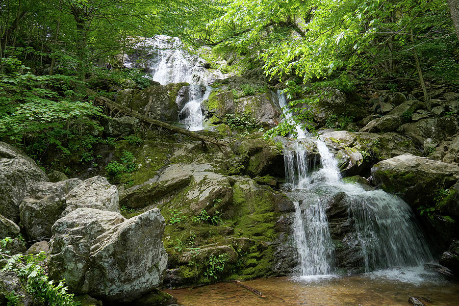 Dark Hallow Waterfall Photograph by Paul Hamilton - Fine Art America