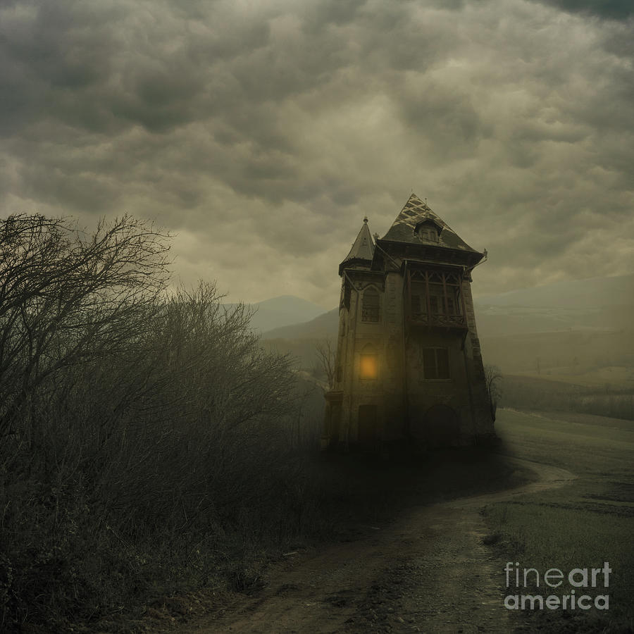 Halloween Photograph - Dark haunted house. Halloween night. by Jelena Jovanovic