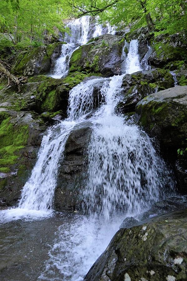 Dark Hollow Falls Photograph by Gina Washington