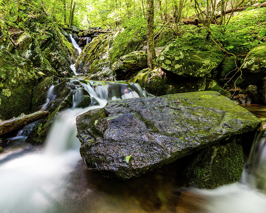 Dark Hollow Falls Waterfall Photograph by Dylan Harrell - Pixels