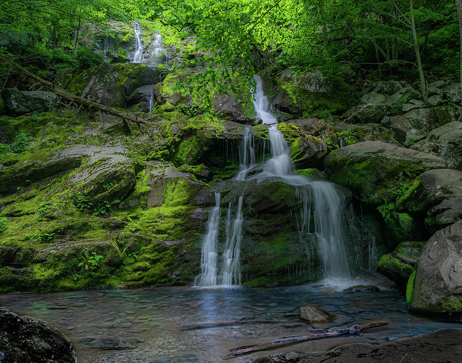 Dark Hollow Waterfall Photograph by Jeanne Jackson