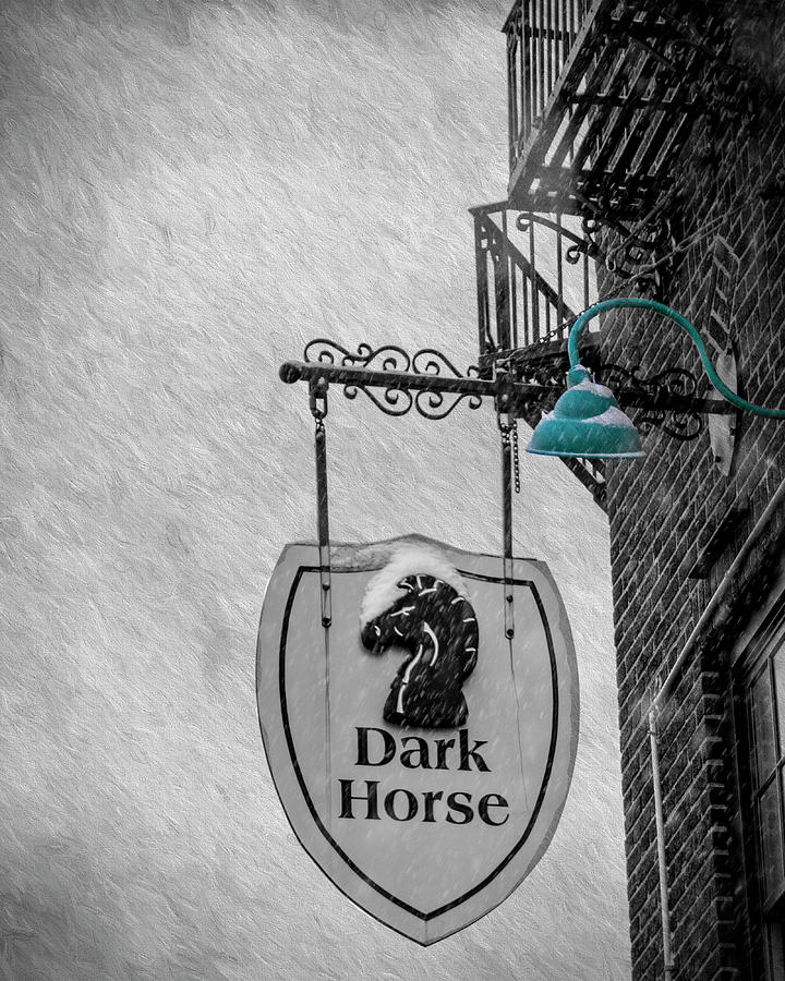 Dark Horse Photograph by Cathy Kovarik