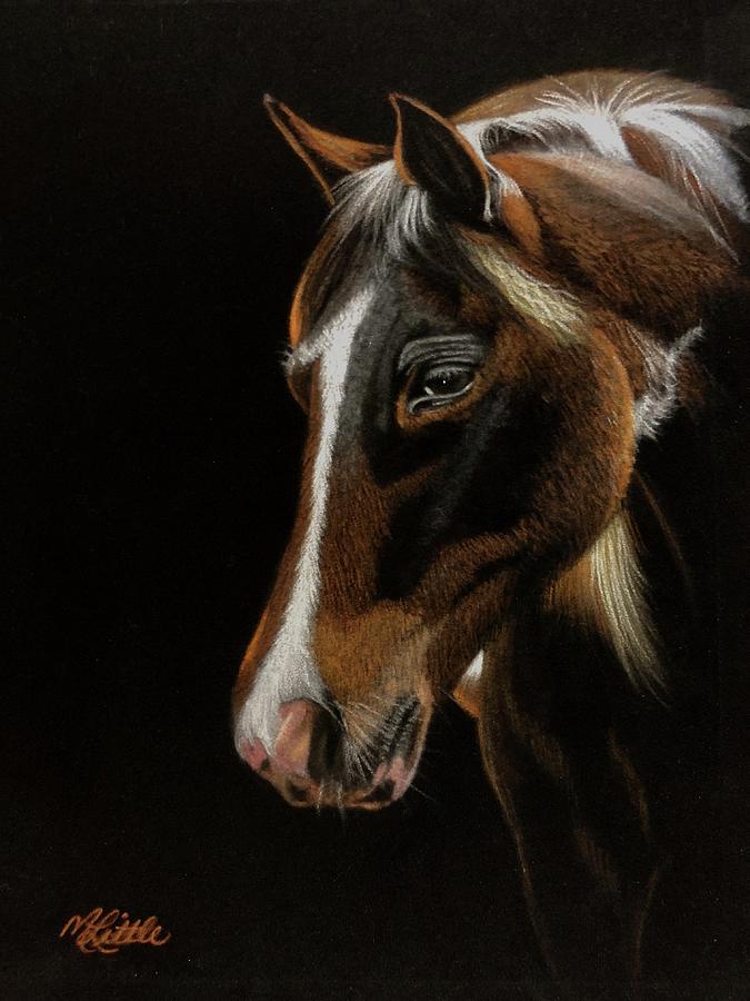 Dark Horse Pastel by Marlene Little