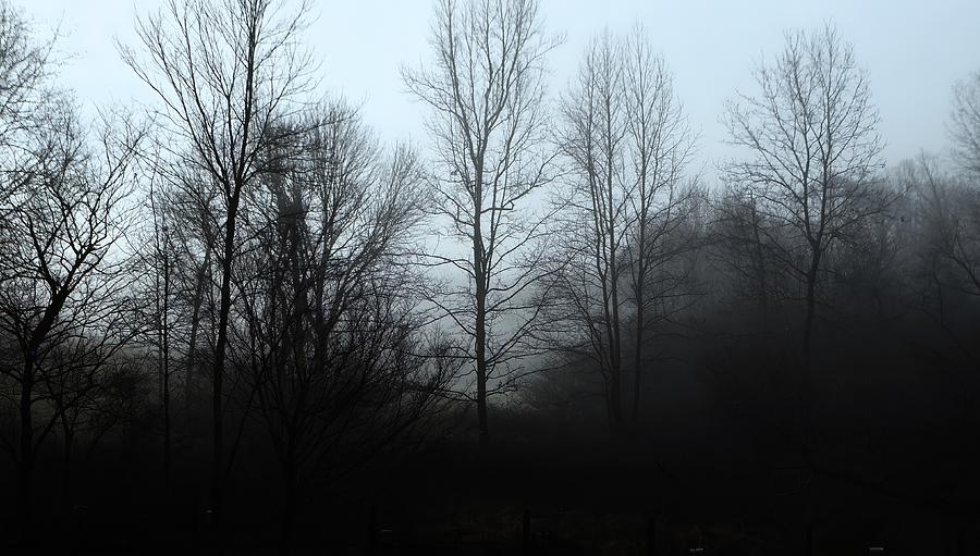 Dark Landscape Photograph