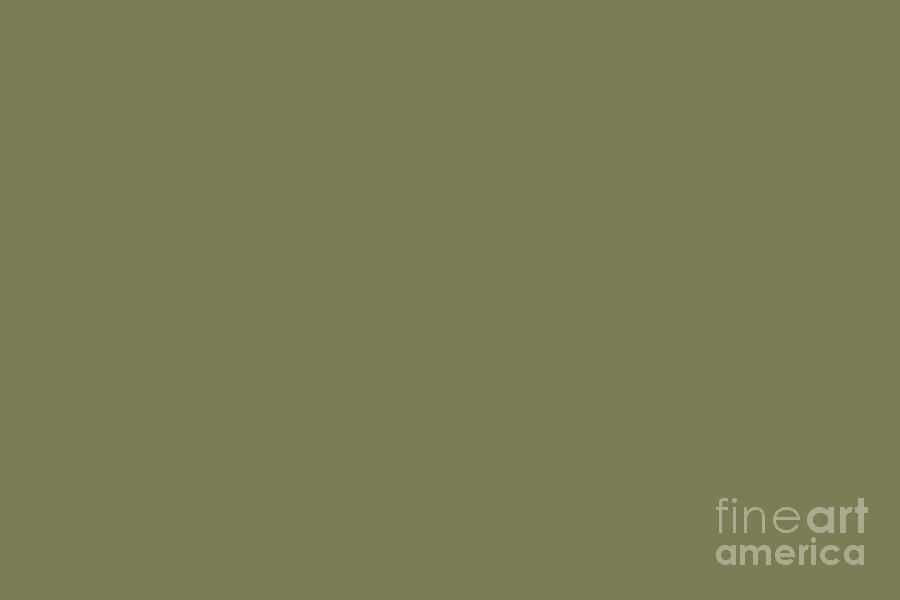 Dark Martini Olive Green Solid Color Pairs to Valspar America Jungle Thicket 6003-4C Digital Art by PIPA Fine Art - Simply Solid