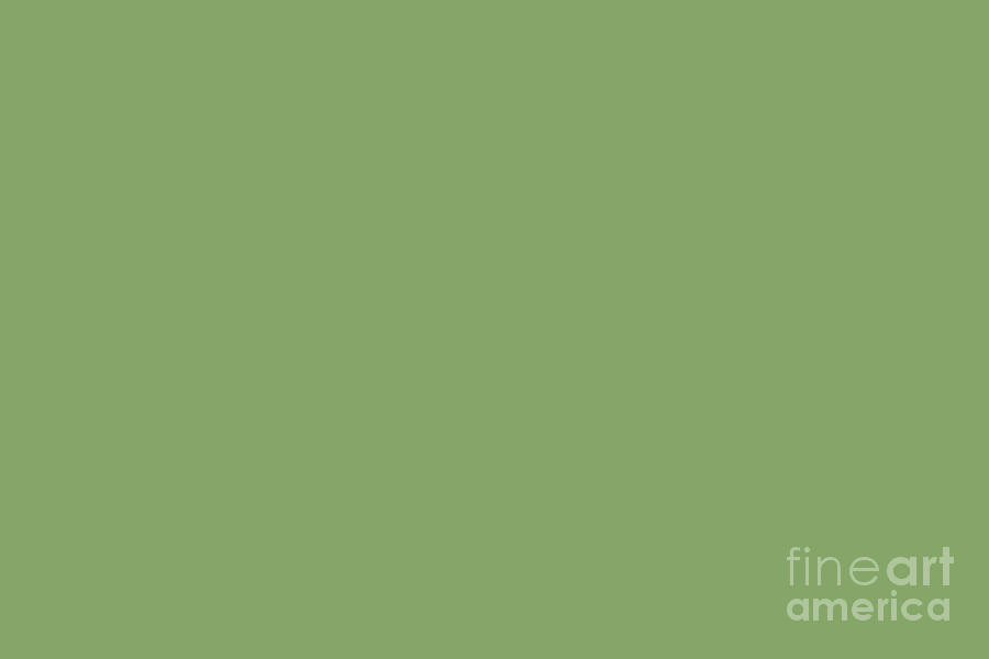 Dark Meadow Green Solid Color Pairs To Sherwin Williams Pickle Sw 6725 Digital Art By Melissa Fague