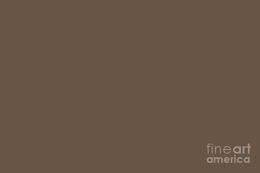 Dark Mid-tone Brown Solid Color Behr 2021 Color of the Year Accent Shade Moose Trail N190-7 Digital Art by PIPA Fine Art - Simply Solid