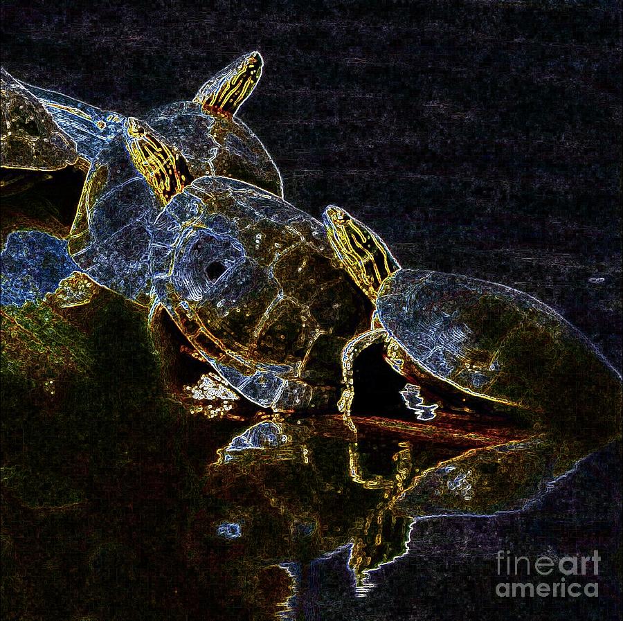 Dark Night of the Turtles by Curtis Tilleraas Dark Night of the Turtles by Curtis Tilleraas