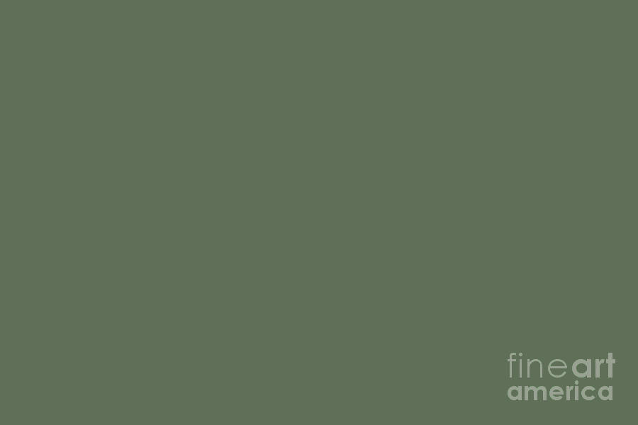 Dark Olive Green Solid Color Behrs 2021 Trending Color Royal Orchard