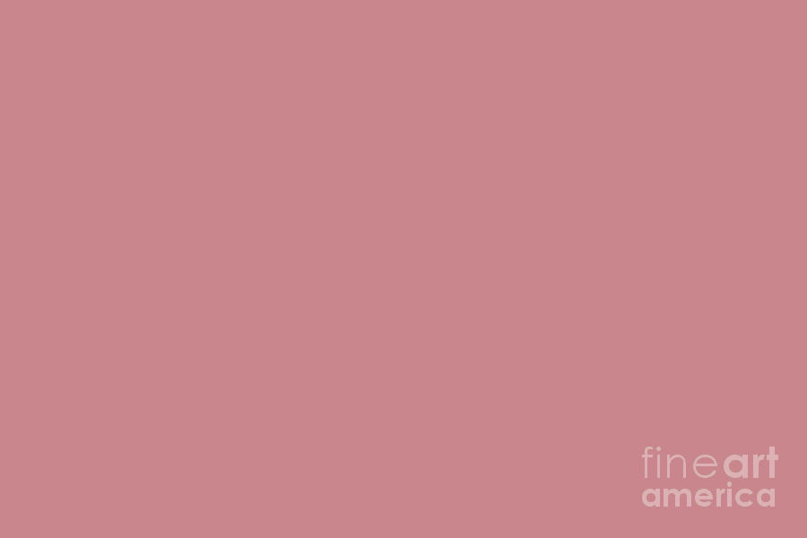 Dark Pastel Pink Solid Color Pairs To Sherwin Williams Memorable Rose SW  6311 by PIPA Fine Art - Simply Solid