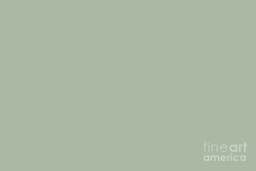 Dark Pastel Sage Solid Color Pairs 2023 Color of the Year Valspar Green Trellis 5006-3C Digital Art by Simply Solids