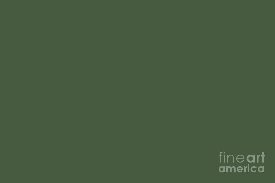 Dark Pine Forest Green Solid Color Pairs to Farrow and Ball 2020 Color Duck  Green W55 by PIPA Fine Art - Simply Solid