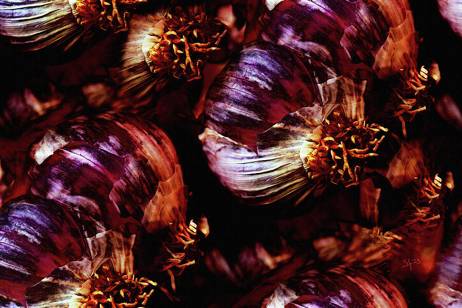 Dark Purple Garlic Abstract  Digital Art by Shelli Fitzpatrick