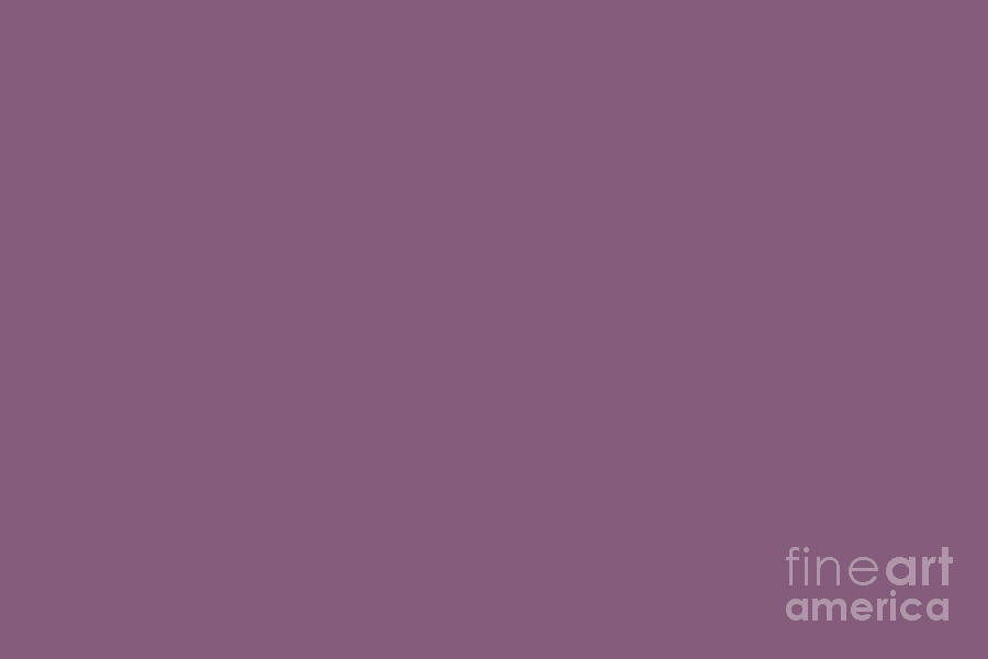 Dark Purple Solid Color Pairs To Dulux Passion Flower Digital Art By Simply Solids Home Decor