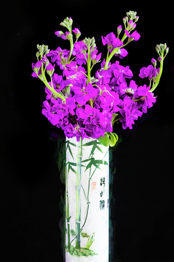 Dark Purple Stock Flowers Matthiola incana X101 Photograph by Rich Franco