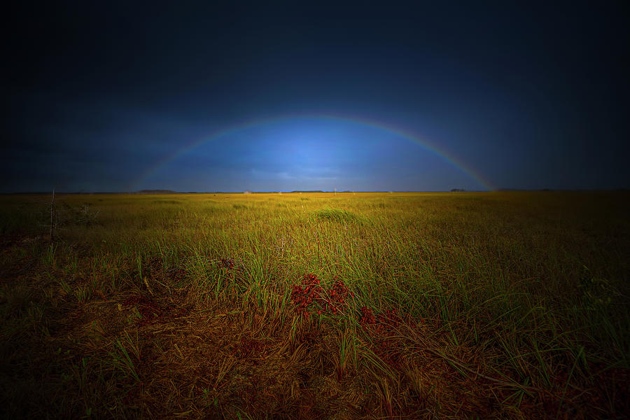Dark Rainbow Photograph by Mark Andrew Thomas