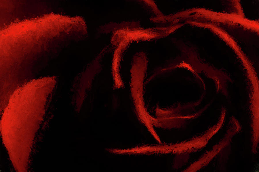 bloody black rose wallpaper