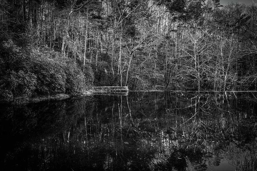 Dark Reflections Photograph by Deb Beausoleil
