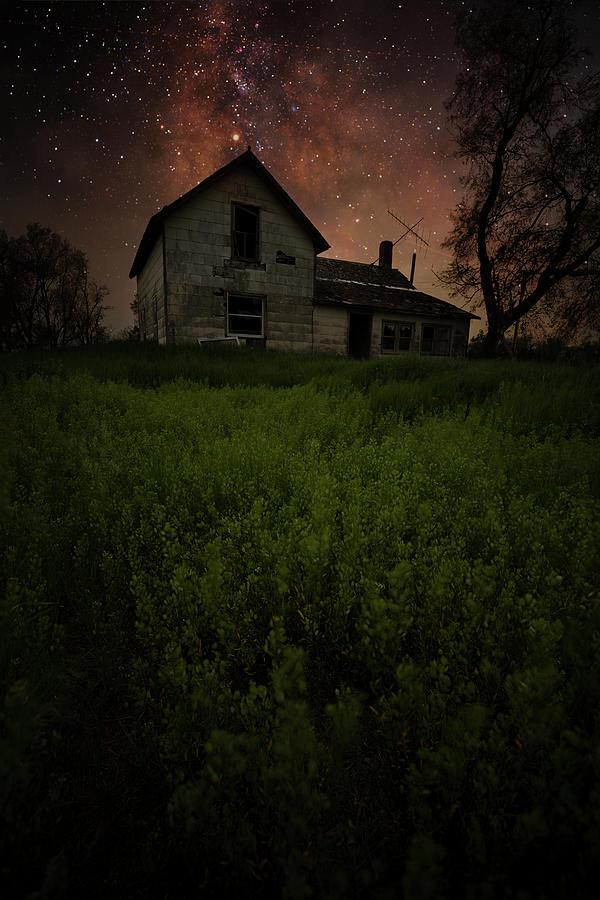 Dark Places Photograph - Dark Roots of Earth by Aaron J Groen Dark Places Photograph - Dark Roots of Earth by Aaron J Groen