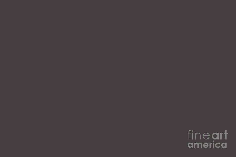 Dark Smoky Brown Solid Color Pairs 2023 Color of the Year HGTV Darkroom HGSW7083 Digital Art by Simply Solids