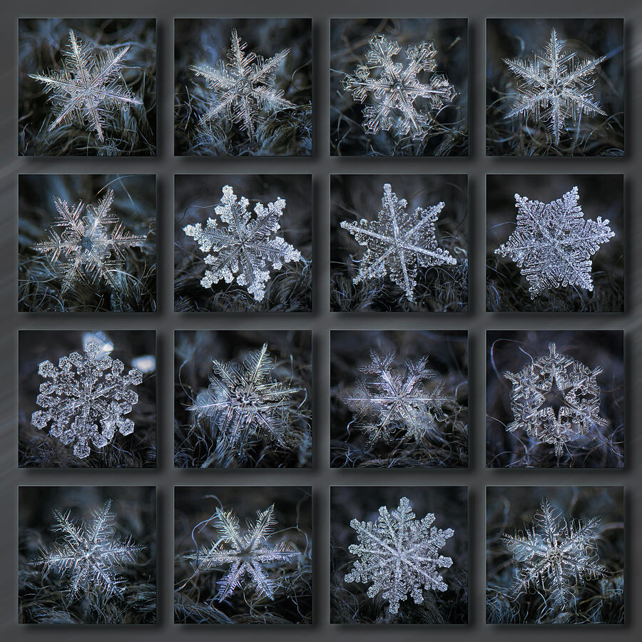 Dark snowflakes 2022-23 Photograph by Alexey Kljatov