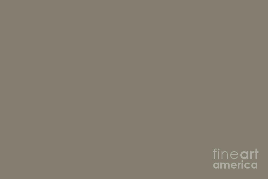 Dark Taupe Gray Solid Color Adaptive Shade SW 7053 Digital Art by PIPA Fine  Art - Simply Solid - Pixels