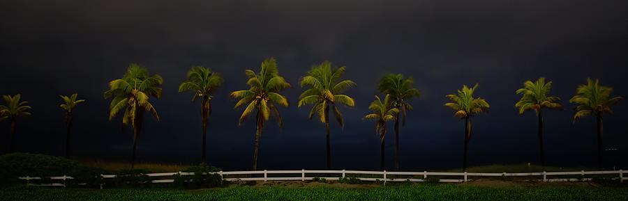 Stormy Tropics Photograph by Mark Andrew Thomas
