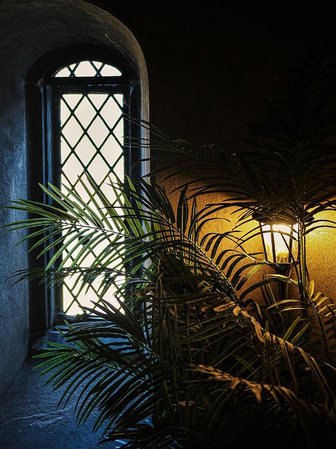 Dark Window Photograph by John Linnemeyer