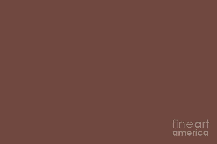 Dark Wine Solid Color Pairs Farrow and Ball 2021 Color of the Year Deep Reddish Brown No.W101 Digital Art by PIPA Fine Art - Simply Solid