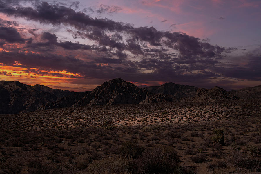 Desert Sunset Photograph - Darkness Decends In The Desert by Frank Wilson