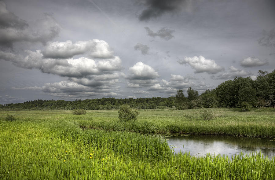 Darks Skies Over Marshy Grassland Photograph by Theasis