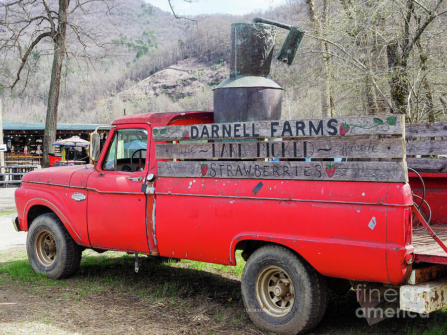 Vintage Photograph - Darnell Farms Cherokee, North Carolina by Curtis Boggs