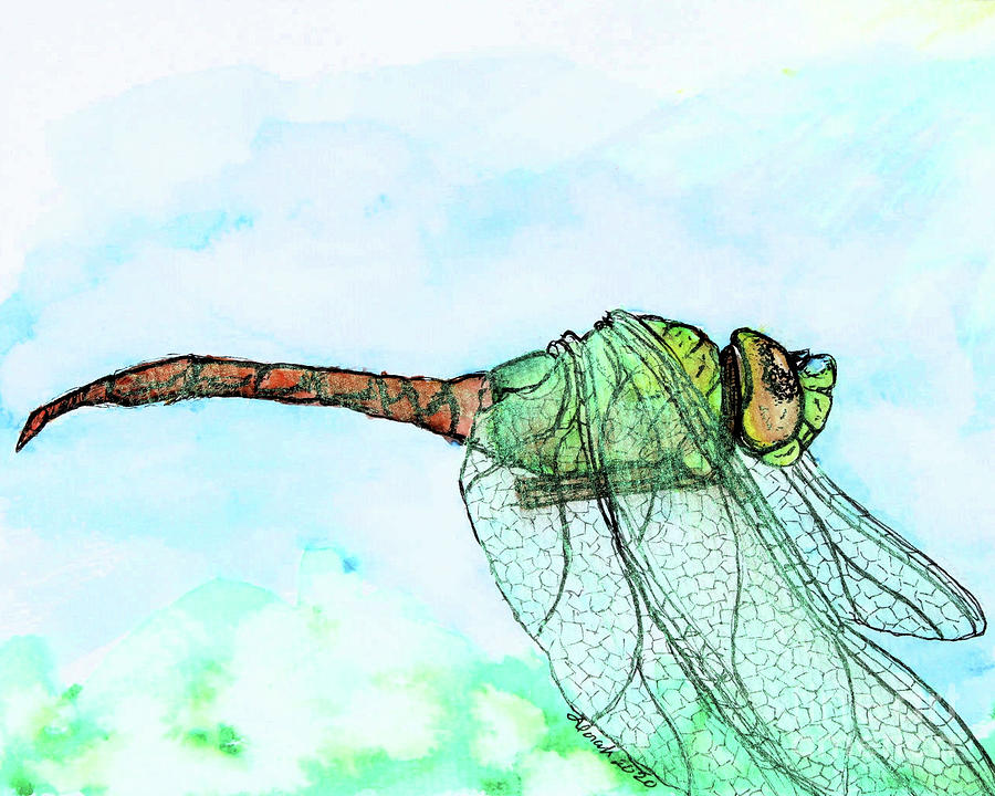 Darner Fly in Flight Painting by Lora Tout
