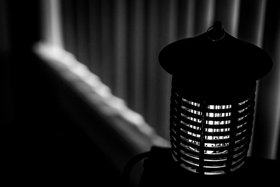 Darth Vaders Bug Zapper Photograph by Jim Whitley