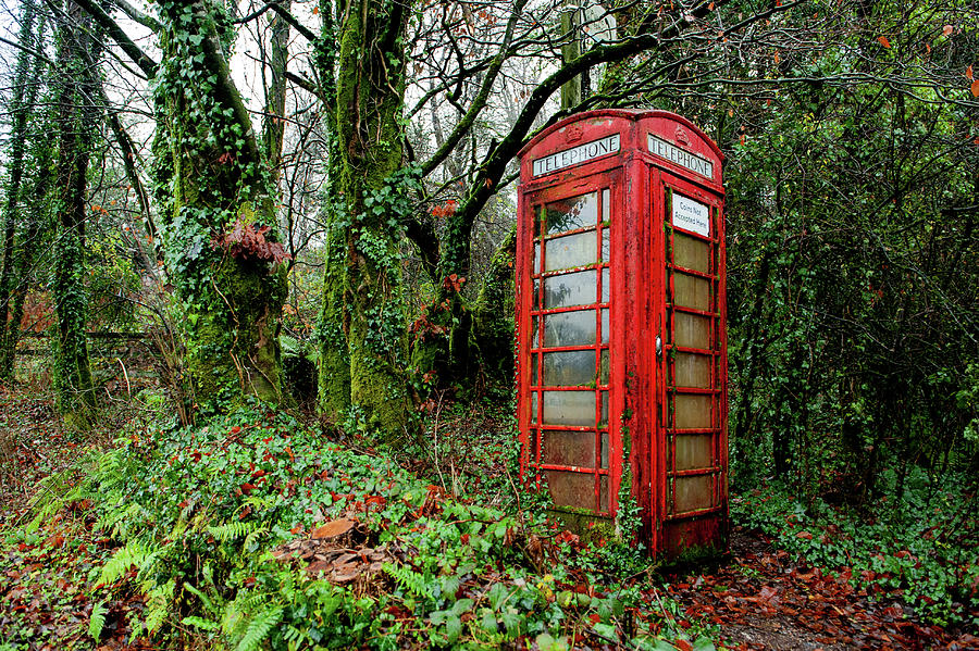 Dartmeet Red Telephone Box Dartmoor Photograph