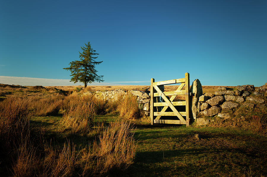 Dartmoor Gate Photograph by Helen Jackson