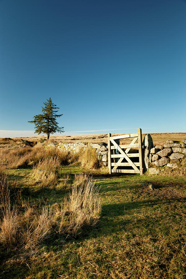 Dartmoor Gate ii Photograph by Helen Jackson