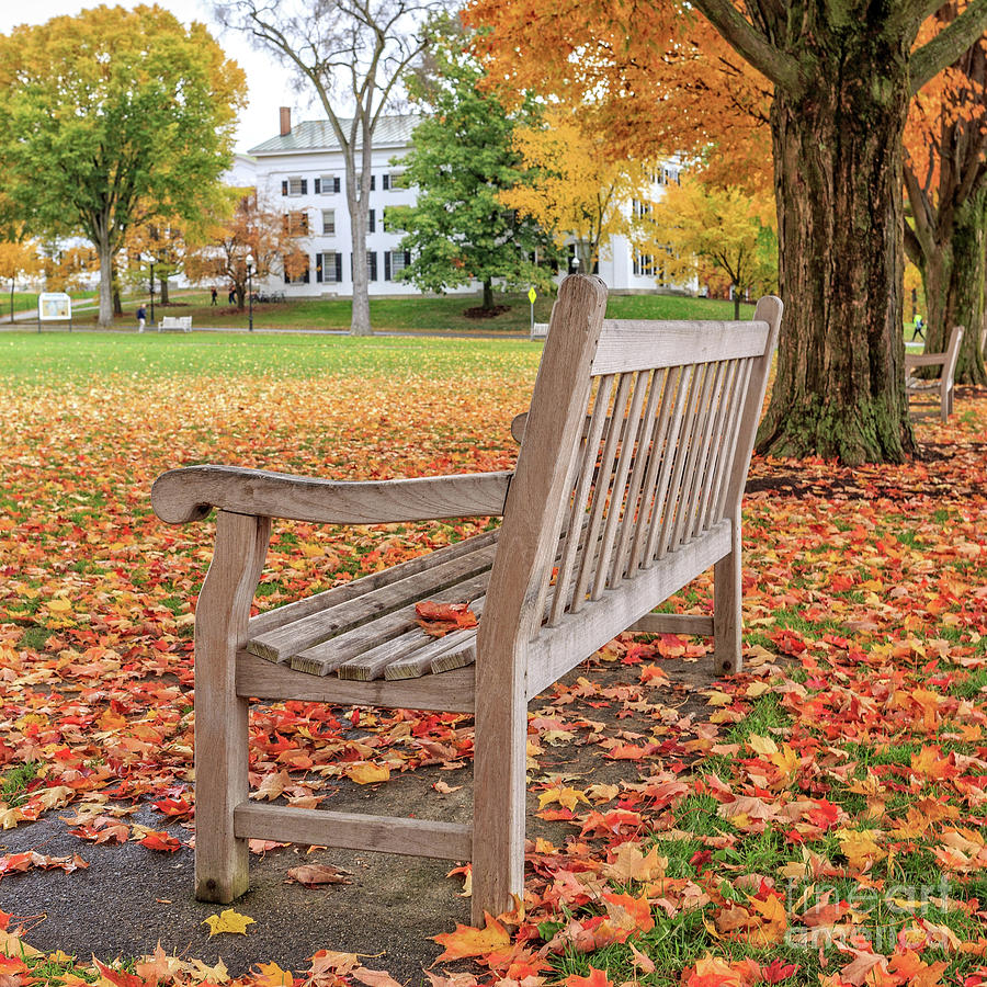 Dartmouth Hanover Green in Autumn Square Photograph by Edward Fielding