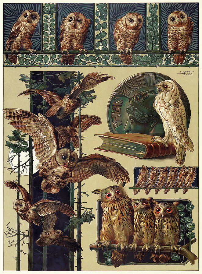 Das Thier in der Decorativen Kunst - Owlery Drawing by Anton Seder